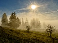 2013.10.31_094722_Auerberg und Königsschlösser Herbst_2'.jpg